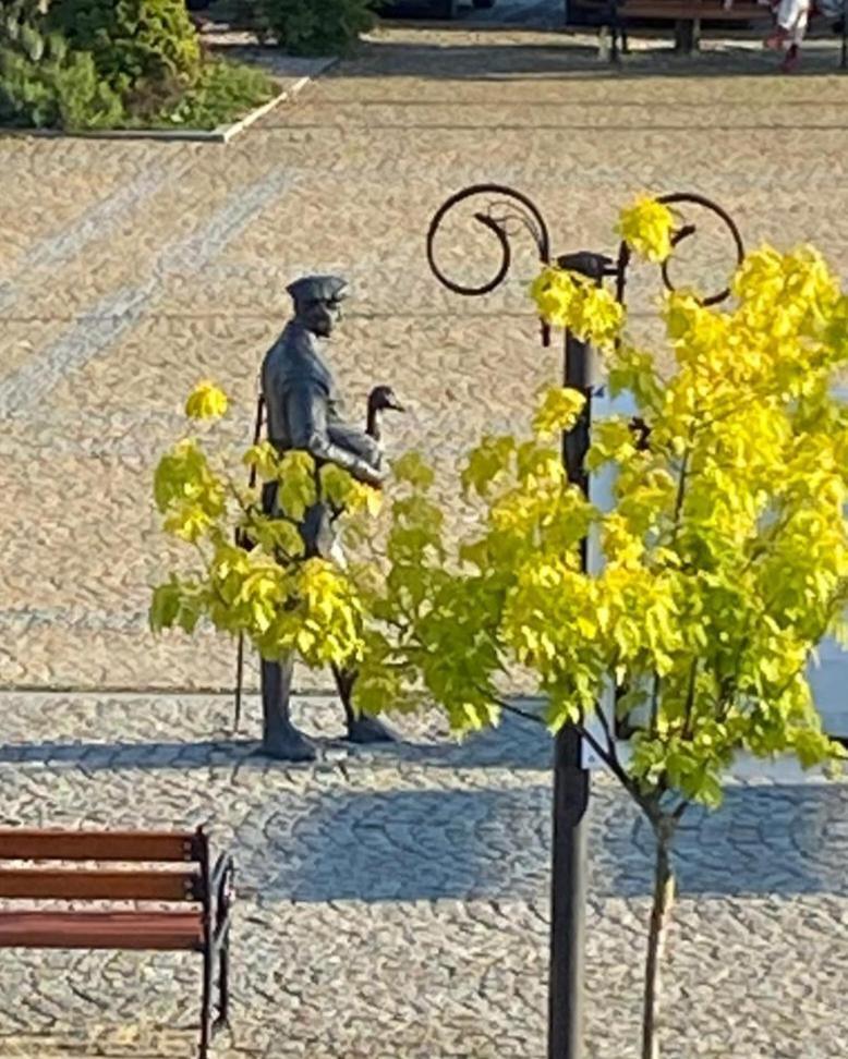 Appartamento Na Rynku Ślesin Esterno foto